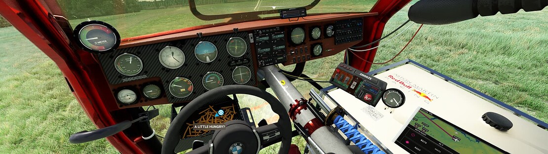 Microsoft Flight Simulator 5_31_2023 3_40_04 PM