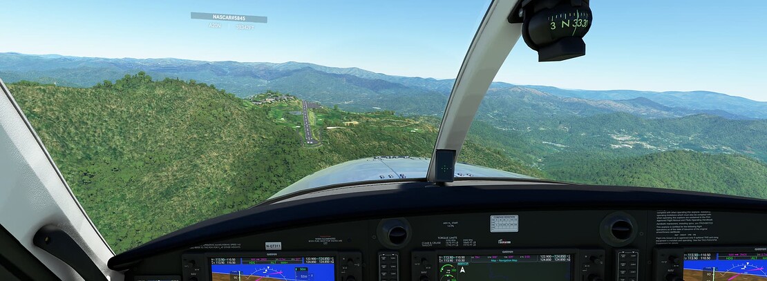 Microsoft Flight Simulator 5_17_2023 4_56_29 PM