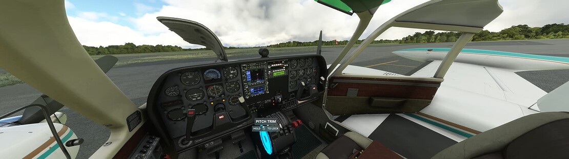 Microsoft Flight Simulator 5_22_2022 4_59_43 PM
