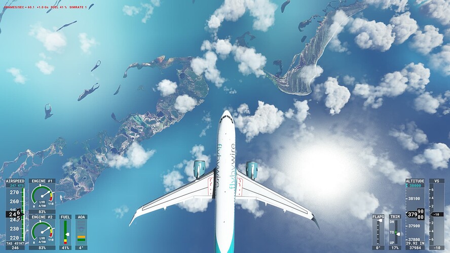 Microsoft Flight Simulator 20_08_2022 17_26_42