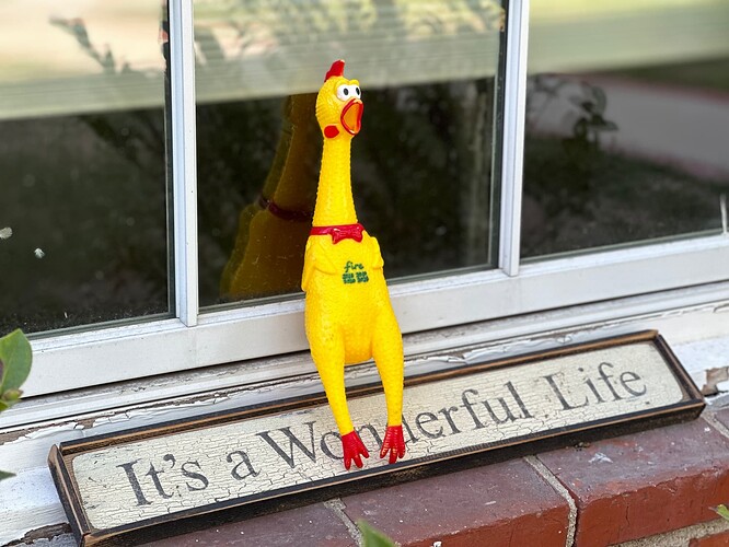 chicken-wonderful-life