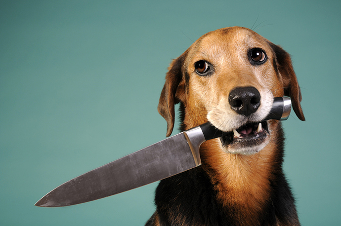 dog-knife