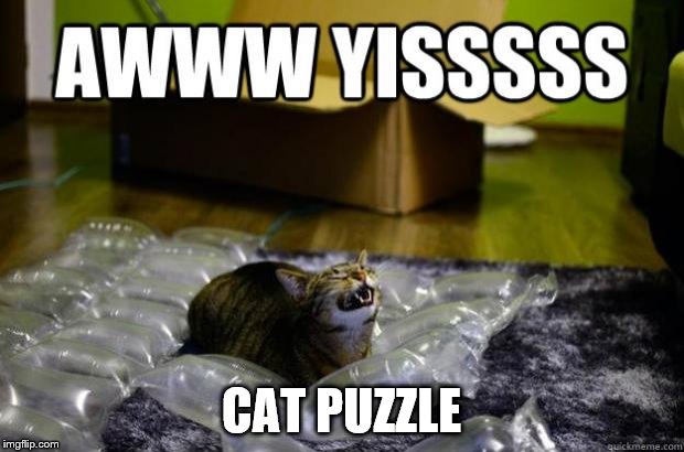 catpuzzle