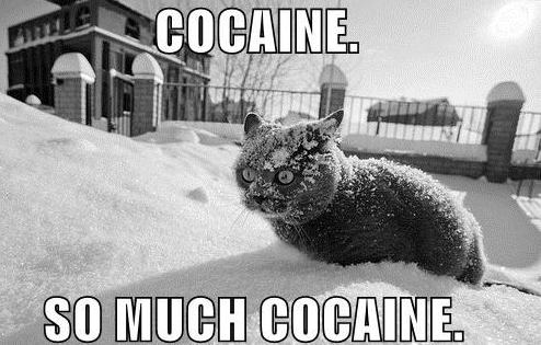 cocaine%20so%20much%20cocaine