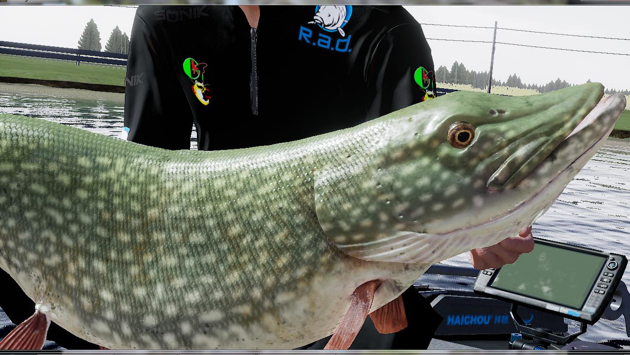 Now that's a nice Northern! Fishing Sim World: Pro Tour - Games - Quarter  To Three Forums