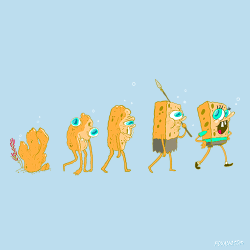 SpongeEvolution
