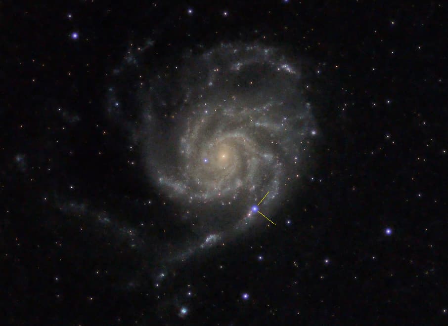 M101_SN_2023ixf_close_crop