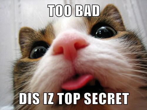 too-bad-dis-iz-top-secret